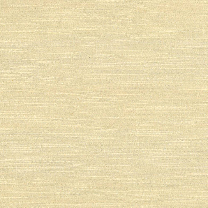Luxe Ecru by Kasmir Fabric 1447 USA 21,000 Wyzenbeek Double Rubs H: N/A, V:N/A 54 - Fabric Carolina - Kasmir