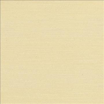 Luxe Ecru by Kasmir Fabric 1447 88% Rayon 12% Polyester USA 21,000 Wyzenbeek Double Rubs H: N/A, V: N/A 54 - Fabric Carolina - Kasmir