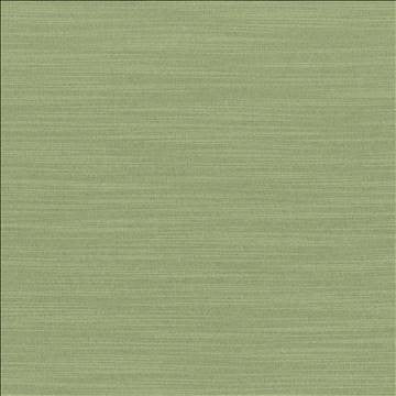 Luxe Jade by Kasmir Fabric 1447 88% Rayon 12% Polyester USA 21,000 Wyzenbeek Double Rubs H: N/A, V: N/A 54 - Fabric Carolina - Kasmir