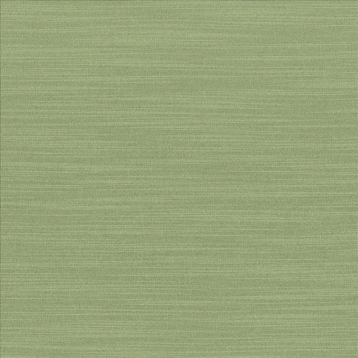 Luxe Jade by Kasmir Fabric 1447 88% Rayon
12% Polyester
 USA 21,000 Wyzenbeek Double Rubs </p><p>Repeat: Horizontal: N/A and Vertical: N/A 54 - Fabric Carolina -