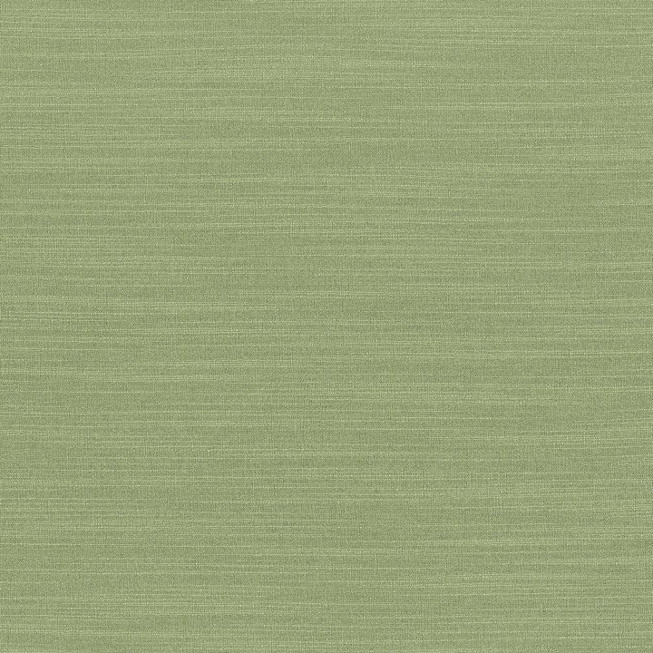 Luxe Jade by Kasmir Fabric 1447 USA 21,000 Wyzenbeek Double Rubs H: N/A, V:N/A 54 - Fabric Carolina - Kasmir