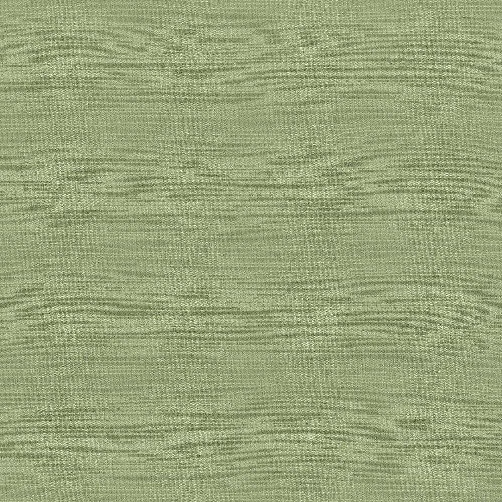 Luxe Jade by Kasmir Fabric 1447 88% Rayon
12% Polyester
 USA </p><p>Repeat: Horizontal: N/A and Vertical: N/A 54 - Fabric Carolina -