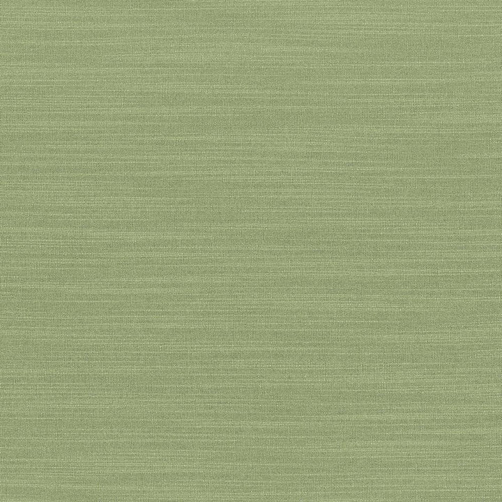 Luxe Jade by Kasmir Fabric 1447 88% Rayon
12% Polyester
 USA </p><p>Repeat: Horizontal: N/A and Vertical: N/A 54 - Fabric Carolina -