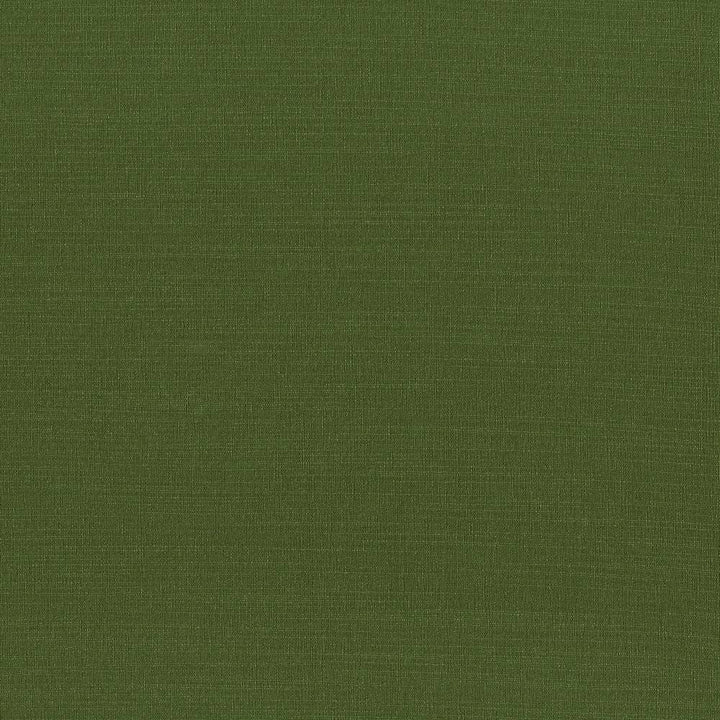 Luxe Kelly by Kasmir Fabric 1447 88% Rayon
12% Polyester
 USA </p><p>Repeat: Horizontal: N/A and Vertical: N/A 54 - Fabric Carolina -