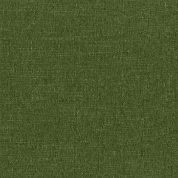 Luxe Kelly by Kasmir Fabric 1447 88% Rayon
12% Polyester
 USA </p><p>Repeat: Horizontal: N/A and Vertical: N/A 54 - Fabric Carolina -