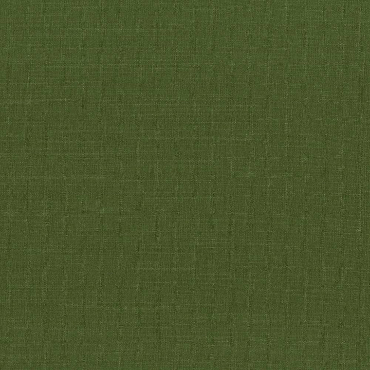 Luxe Kelly by Kasmir Fabric 1447 USA 21,000 Wyzenbeek Double Rubs H: N/A, V:N/A 54 - Fabric Carolina - Kasmir