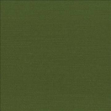Luxe Kelly by Kasmir Fabric 1447 88% Rayon 12% Polyester USA 21,000 Wyzenbeek Double Rubs H: N/A, V: N/A 54 - Fabric Carolina - Kasmir