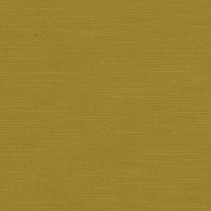 Luxe Limone by Kasmir Fabric 1447 88% Rayon
12% Polyester
 USA </p><p>Repeat: Horizontal: N/A and Vertical: N/A 54 - Fabric Carolina -