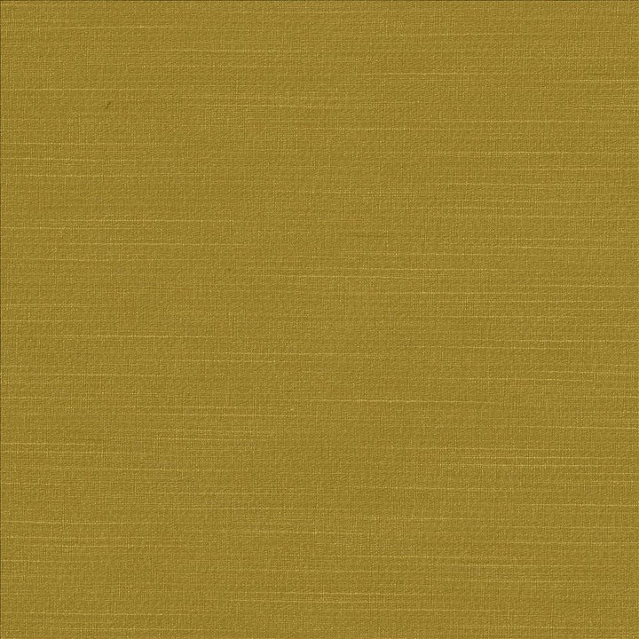 Luxe Limone by Kasmir Fabric 1447 88% Rayon 12% Polyester USA 21,000 Wyzenbeek Double Rubs Horizontal: 0 Inches and Vertical: 0 Inches 54 - Fabric Carolina -