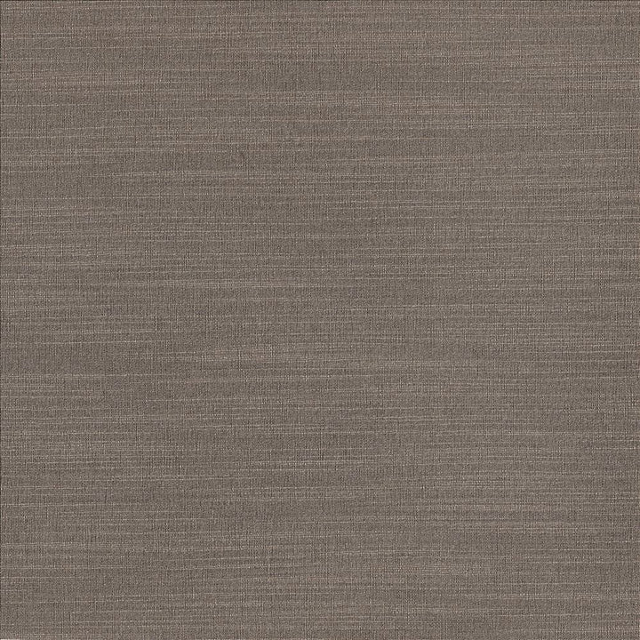 Luxe Metal by Kasmir Fabric 1447 88% Rayon
12% Polyester
 USA </p><p>Repeat: Horizontal: N/A and Vertical: N/A 54 - Fabric Carolina -