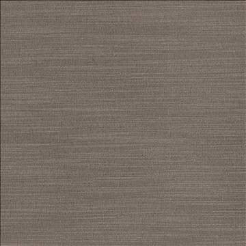 Luxe Metal by Kasmir Fabric 1447 88% Rayon 12% Polyester USA 21,000 Wyzenbeek Double Rubs H: N/A, V: N/A 54 - Fabric Carolina - Kasmir