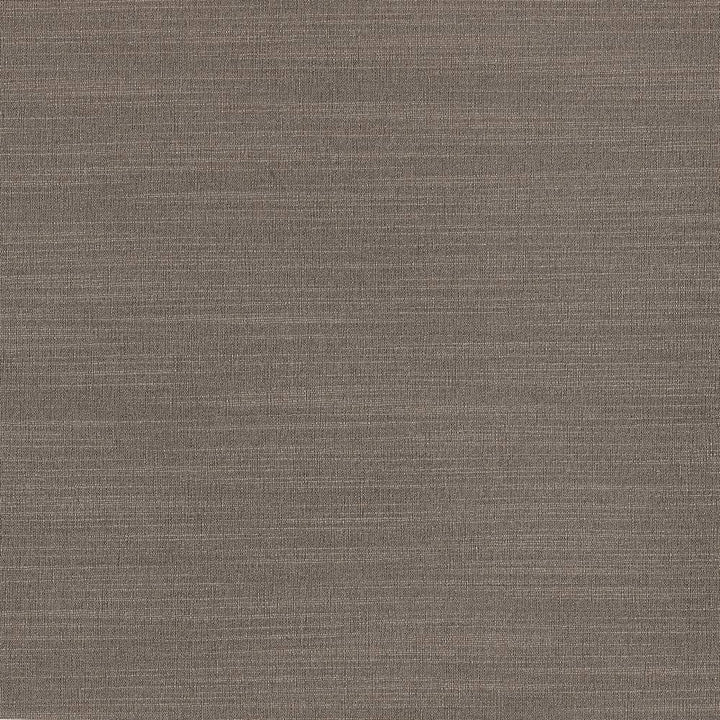 Luxe Metal by Kasmir Fabric 1447 USA 21,000 Wyzenbeek Double Rubs H: N/A, V:N/A 54 - Fabric Carolina - Kasmir