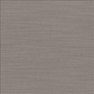 Luxe Mineral by Kasmir Fabric 1447 88% Rayon 12% Polyester USA 21,000 Wyzenbeek Double Rubs H: N/A, V: N/A 54 - Fabric Carolina - Kasmir