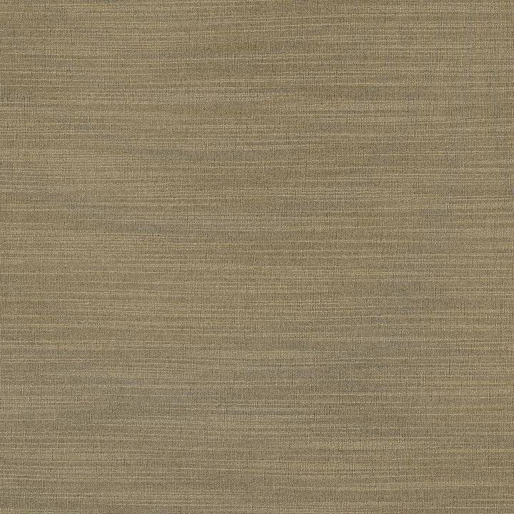 Luxe Nickel by Kasmir Fabric 1447 USA 21,000 Wyzenbeek Double Rubs H: N/A, V:N/A 54 - Fabric Carolina - Kasmir