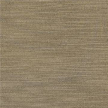Luxe Nickel by Kasmir Fabric 1447 88% Rayon 12% Polyester USA 21,000 Wyzenbeek Double Rubs H: N/A, V: N/A 54 - Fabric Carolina - Kasmir