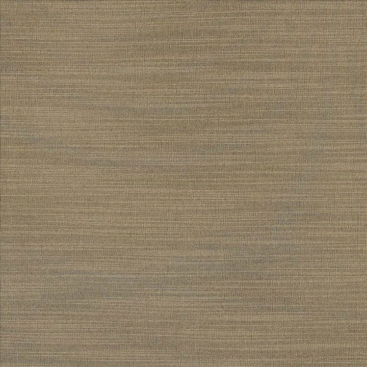 Luxe Nickel by Kasmir Fabric 1447 88% Rayon 12% Polyester USA 21,000 Wyzenbeek Double Rubs Horizontal: 0 Inches and Vertical: 0 Inches 54 - Fabric Carolina -