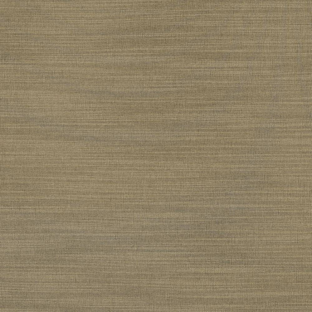 Luxe Nickel by Kasmir Fabric 1447 88% Rayon
12% Polyester
 USA </p><p>Repeat: Horizontal: N/A and Vertical: N/A 54 - Fabric Carolina -