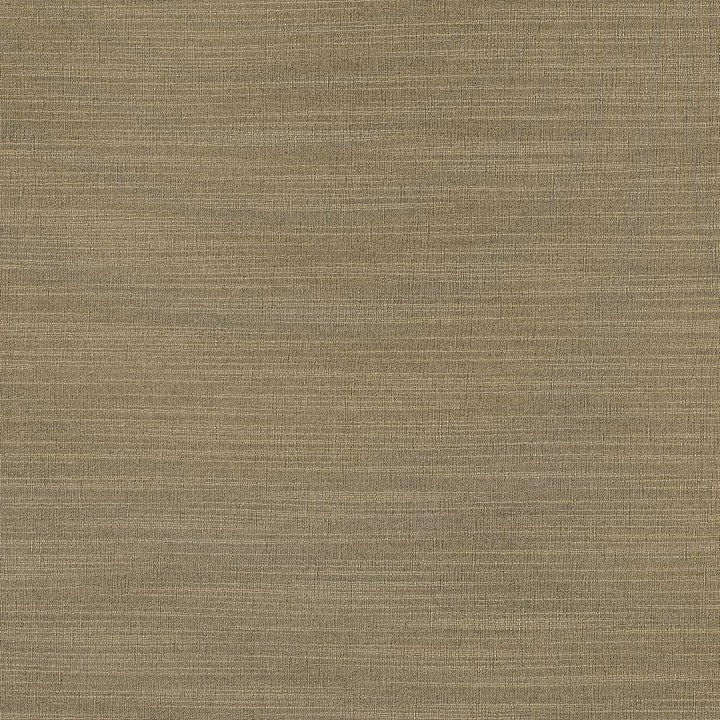 Luxe Nickel by Kasmir Fabric 1447 88% Rayon
12% Polyester
 USA </p><p>Repeat: Horizontal: N/A and Vertical: N/A 54 - Fabric Carolina -