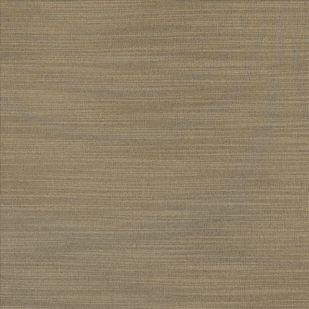 Luxe Nickel by Kasmir Fabric 1447 88% Rayon
12% Polyester
 USA </p><p>Repeat: Horizontal: N/A and Vertical: N/A 54 - Fabric Carolina -