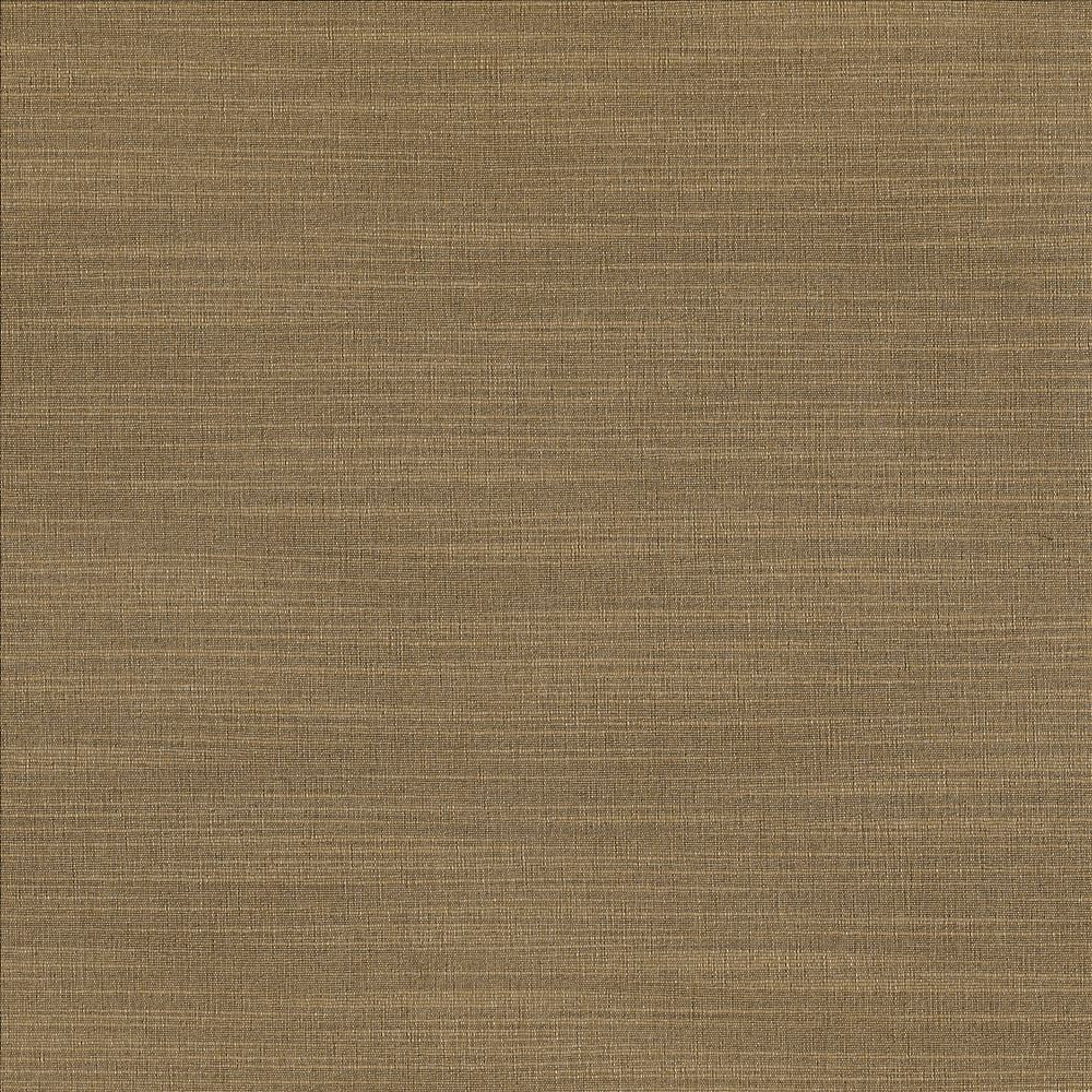 Luxe Old Gold by Kasmir Fabric 1447 88% Rayon
12% Polyester
 USA 21,000 Wyzenbeek Double Rubs </p><p>Repeat: Horizontal: N/A and Vertical: N/A 54 - Fabric Carolina -