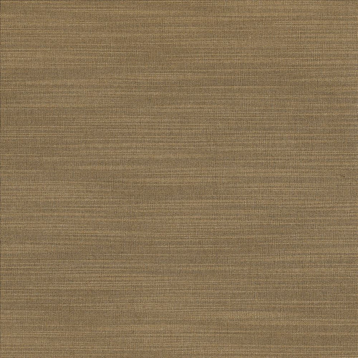 Luxe Old Gold by Kasmir Fabric 1447 88% Rayon
12% Polyester
 USA 21,000 Wyzenbeek Double Rubs </p><p>Repeat: Horizontal: N/A and Vertical: N/A 54 - Fabric Carolina -