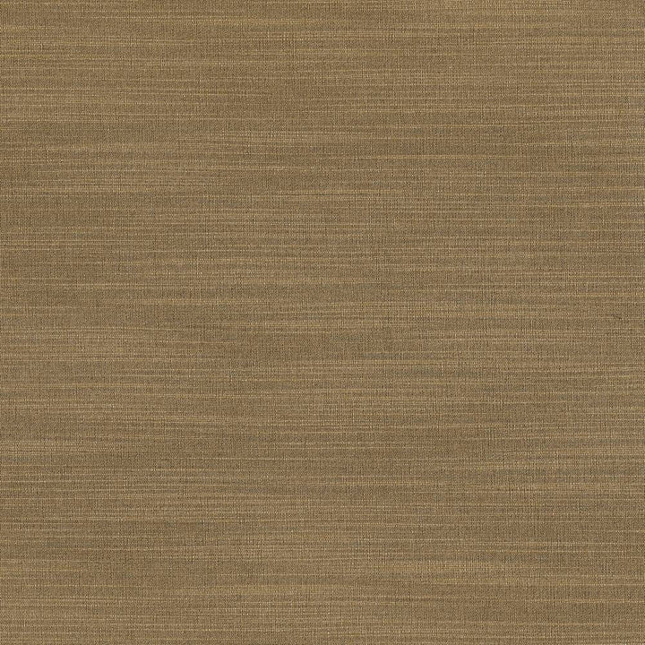 Luxe Old Gold by Kasmir Fabric 1447 88% Rayon
12% Polyester
 USA </p><p>Repeat: Horizontal: N/A and Vertical: N/A 54 - Fabric Carolina -