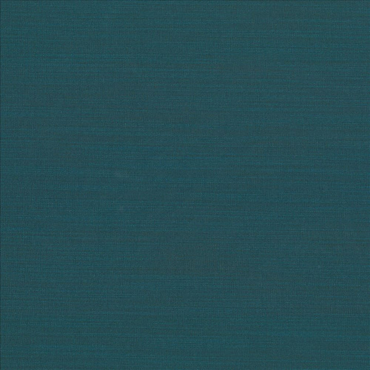 Luxe Pacific by Kasmir Fabric 1447 88% Rayon 12% Polyester USA 21,000 Wyzenbeek Double Rubs Horizontal: 0 Inches and Vertical: 0 Inches 54 - Fabric Carolina -