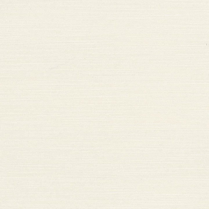 Luxe Paper White by Kasmir Fabric 1447 88% Rayon
12% Polyester
 USA 21,000 Wyzenbeek Double Rubs </p><p>Repeat: Horizontal: N/A and Vertical: N/A 54 - Fabric Carolina -