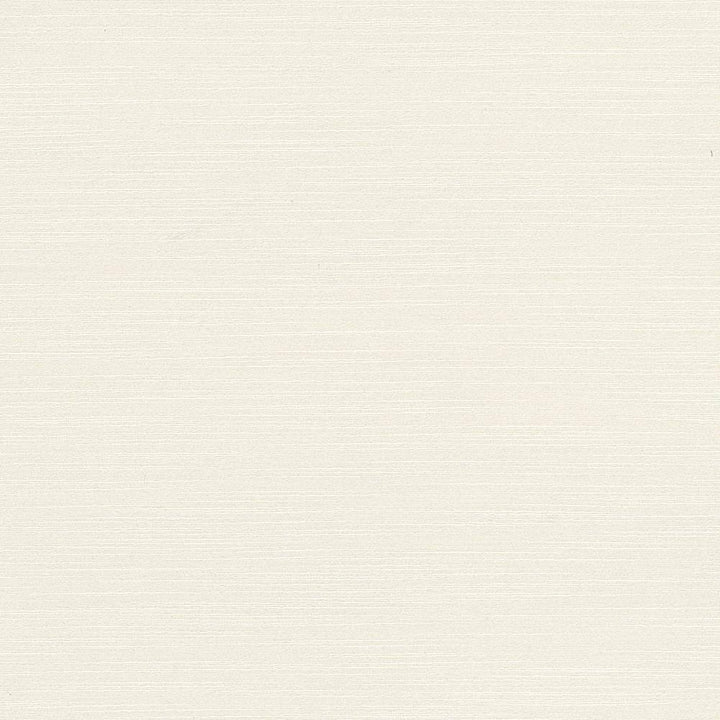 Luxe Paper White by Kasmir Fabric 1447 USA 21,000 Wyzenbeek Double Rubs H: N/A, V:N/A 54 - Fabric Carolina - Kasmir