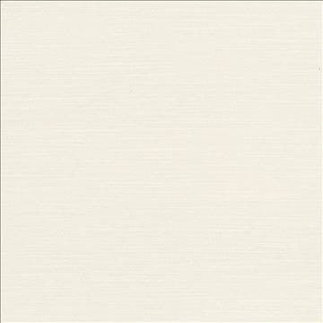 Luxe Paper White by Kasmir Fabric 1447 88% Rayon 12% Polyester USA 21,000 Wyzenbeek Double Rubs H: N/A, V: N/A 54 - Fabric Carolina - Kasmir