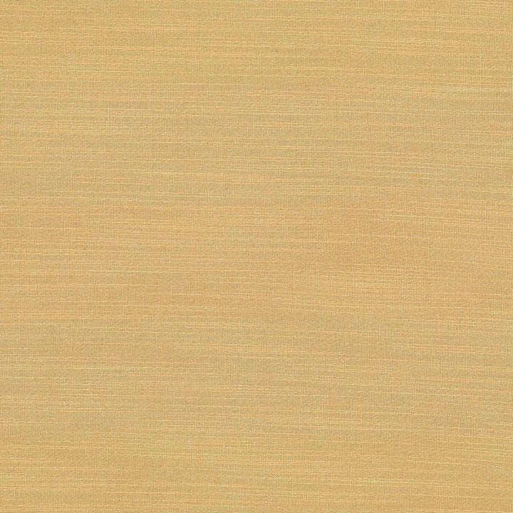 Luxe Parchment by Kasmir Fabric 1447 USA 21,000 Wyzenbeek Double Rubs H: N/A, V:N/A 54 - Fabric Carolina - Kasmir
