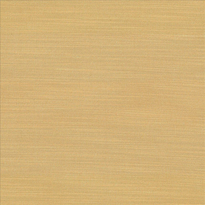 Luxe Parchment by Kasmir Fabric 1447 88% Rayon
12% Polyester
 USA </p><p>Repeat: Horizontal: N/A and Vertical: N/A 54 - Fabric Carolina -