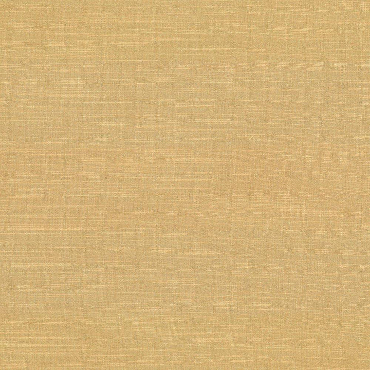 Luxe Parchment by Kasmir Fabric 1447 88% Rayon
12% Polyester
 USA </p><p>Repeat: Horizontal: N/A and Vertical: N/A 54 - Fabric Carolina -