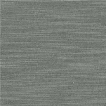 Luxe Pewter by Kasmir Fabric 1447 88% Rayon 12% Polyester USA 21,000 Wyzenbeek Double Rubs H: N/A, V: N/A 54 - Fabric Carolina - Kasmir