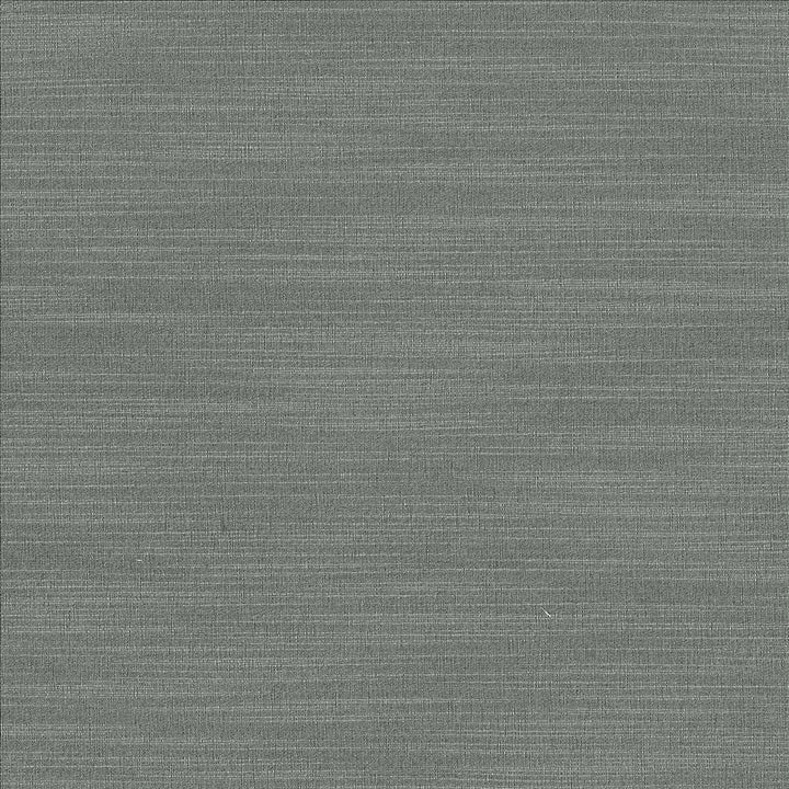 Luxe Pewter by Kasmir Fabric 1447 88% Rayon
12% Polyester
 USA </p><p>Repeat: Horizontal: N/A and Vertical: N/A 54 - Fabric Carolina -