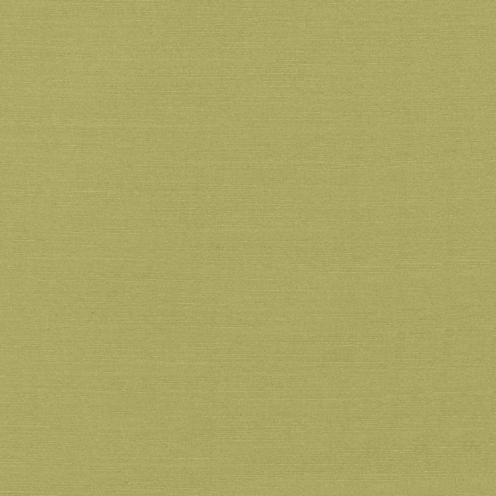 Luxe Pistachio by Kasmir Fabric 1447 88% Rayon
12% Polyester
 USA </p><p>Repeat: Horizontal: N/A and Vertical: N/A 54 - Fabric Carolina -