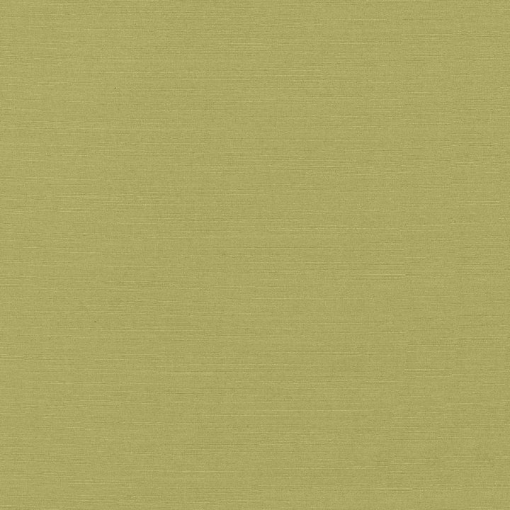 Luxe Pistachio by Kasmir Fabric 1447 88% Rayon
12% Polyester
 USA </p><p>Repeat: Horizontal: N/A and Vertical: N/A 54 - Fabric Carolina -