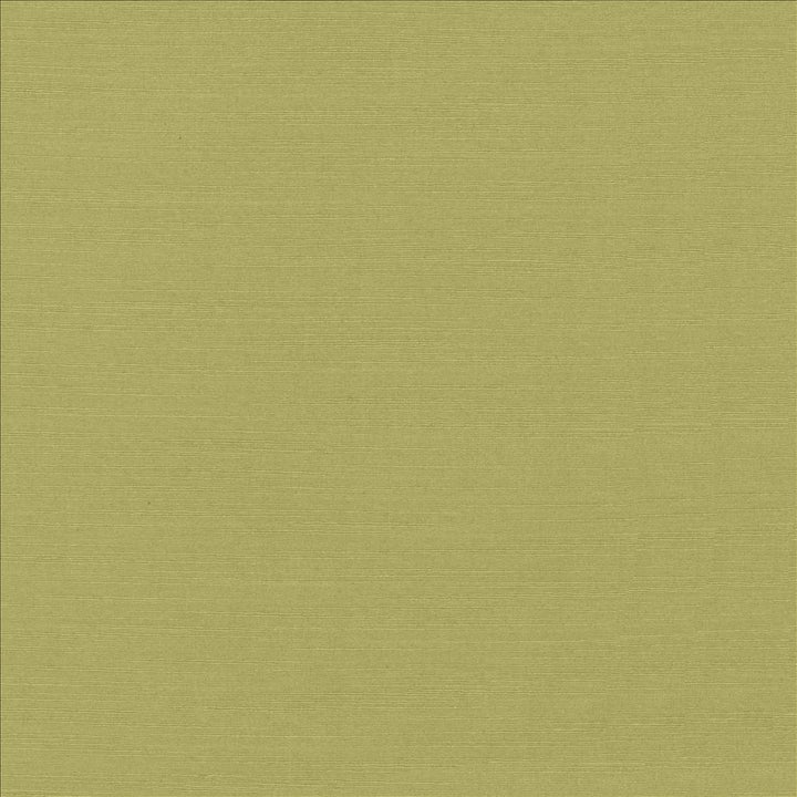 Luxe Pistachio by Kasmir Fabric 1447 88% Rayon
12% Polyester
 USA 21,000 Wyzenbeek Double Rubs Horizontal: N/A and Vertical: N/A 54 - Fabric Carolina -
