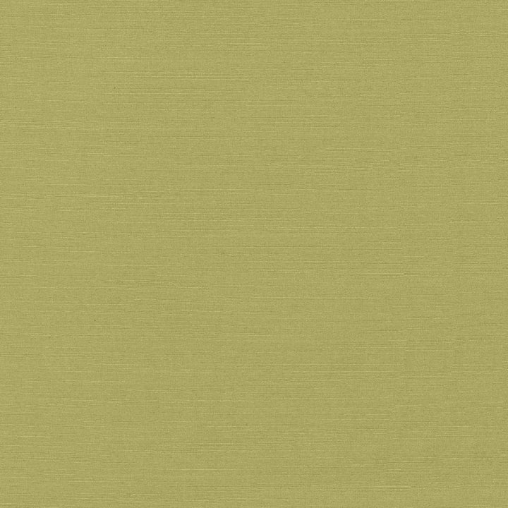 Luxe Pistachio by Kasmir Fabric 1447 USA 21,000 Wyzenbeek Double Rubs H: N/A, V:N/A 54 - Fabric Carolina - Kasmir