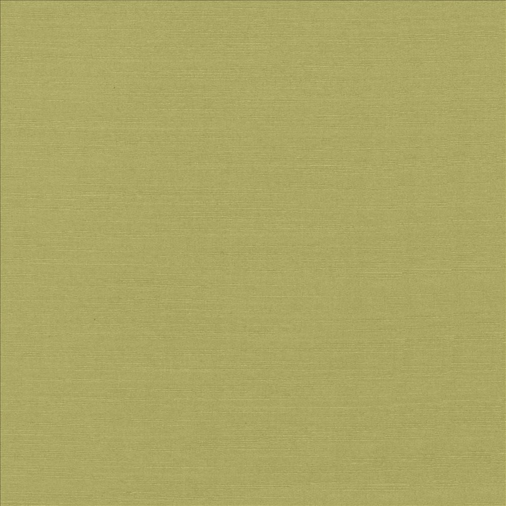 Luxe Pistachio by Kasmir Fabric 1447 88% Rayon
12% Polyester
 USA </p><p>Repeat: Horizontal: N/A and Vertical: N/A 54 - Fabric Carolina -