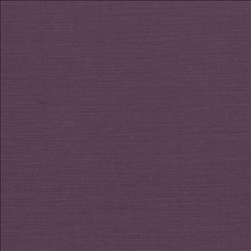Luxe Plum by Kasmir Fabric 1447 88% Rayon 12% Polyester USA 21,000 Wyzenbeek Double Rubs H: N/A, V: N/A 54 - Fabric Carolina - Kasmir