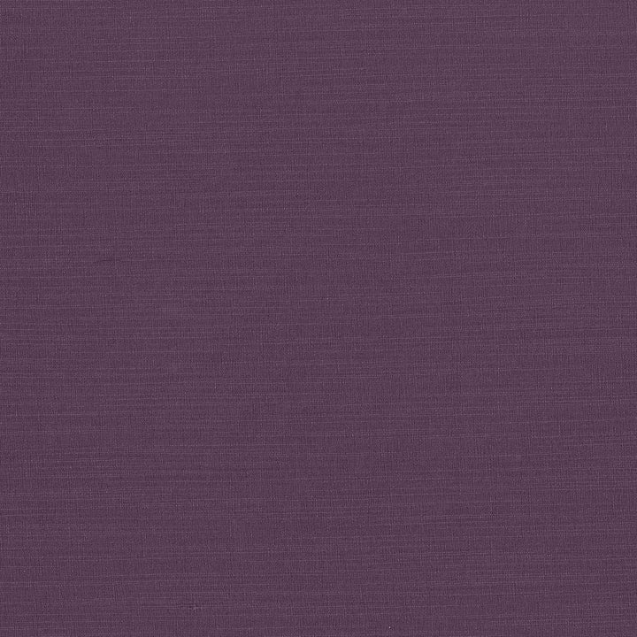 Luxe Plum by Kasmir Fabric 1447 88% Rayon
12% Polyester
 USA </p><p>Repeat: Horizontal: N/A and Vertical: N/A 54 - Fabric Carolina -