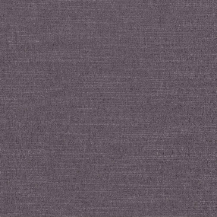 Luxe Regent by Kasmir Fabric 1447 USA 21,000 Wyzenbeek Double Rubs H: N/A, V:N/A 54 - Fabric Carolina - Kasmir