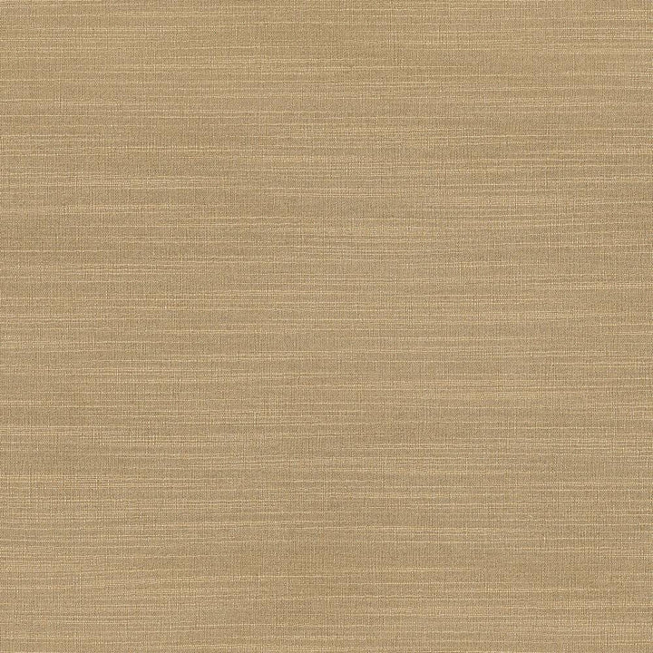 Luxe Sand by Kasmir Fabric 1447 USA 21,000 Wyzenbeek Double Rubs H: N/A, V:N/A 54 - Fabric Carolina - Kasmir