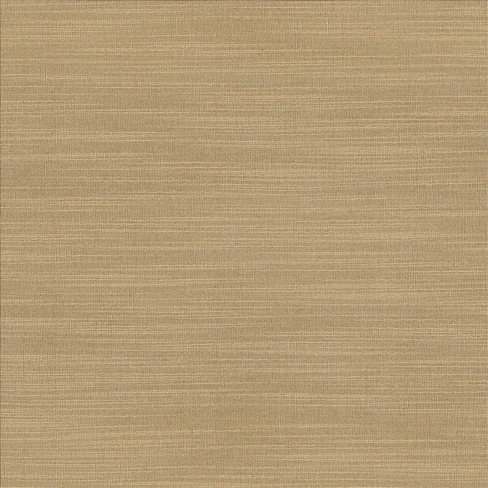 Luxe Sand by Kasmir Fabric 1447 88% Rayon
12% Polyester
 USA </p><p>Repeat: Horizontal: N/A and Vertical: N/A 54 - Fabric Carolina -