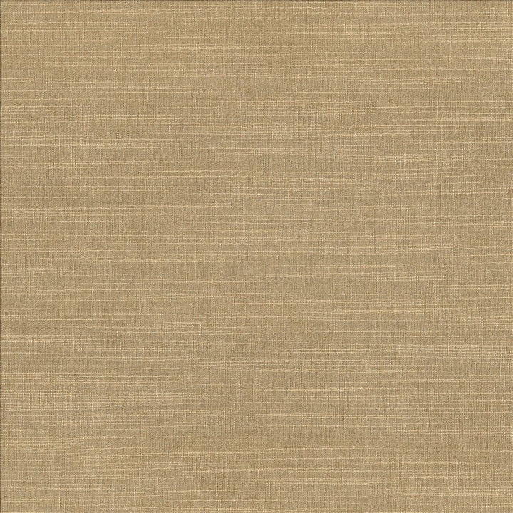 Luxe Sand by Kasmir Fabric 1447 88% Rayon
12% Polyester
 USA </p><p>Repeat: Horizontal: N/A and Vertical: N/A 54 - Fabric Carolina -