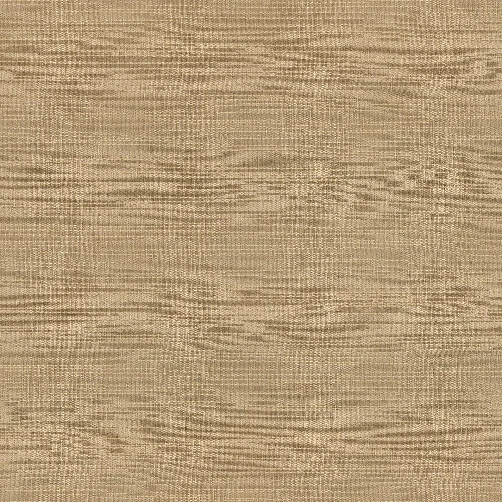 Luxe Sand by Kasmir Fabric 1447 88% Rayon
12% Polyester
 USA </p><p>Repeat: Horizontal: N/A and Vertical: N/A 54 - Fabric Carolina -