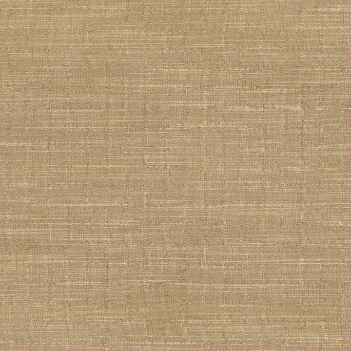 Luxe Sand by Kasmir Fabric 1447 88% Rayon
12% Polyester
 USA </p><p>Repeat: Horizontal: N/A and Vertical: N/A 54 - Fabric Carolina -