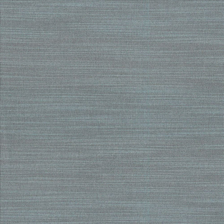 Luxe Slate by Kasmir Fabric 1447 88% Rayon
12% Polyester
 USA 21,000 Wyzenbeek Double Rubs </p><p>Repeat: Horizontal: N/A and Vertical: N/A 54 - Fabric Carolina -