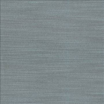 Luxe Slate by Kasmir Fabric 1447 88% Rayon 12% Polyester USA 21,000 Wyzenbeek Double Rubs H: N/A, V: N/A 54 - Fabric Carolina - Kasmir